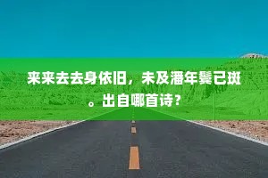 来来去去身依旧，未及潘年鬓已斑。出自哪首诗？