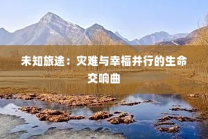 未知旅途：灾难与幸福并行的生命交响曲