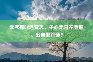 云气有时还变灭，子心无日不登临。出自哪首诗？
