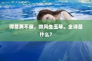 得意两不寐，微风生玉琴。全诗是什么？