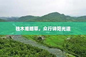 独木难撼草，众行铸阳光道