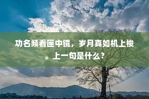 功名频看匣中镜，岁月真如机上梭。上一句是什么？