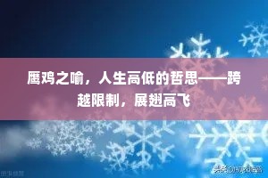 鹰鸡之喻，人生高低的哲思——跨越限制，展翅高飞