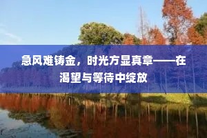 急风难铸金，时光方显真章——在渴望与等待中绽放