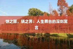 饼之限，锅之界：人生舞台的深刻寓言
