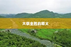 大获全胜的释义