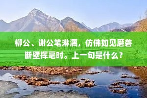 柳公、谢公笔淋漓，仿佛如见磨砻断壁挥毫时。上一句是什么？