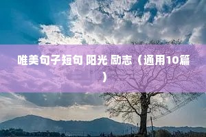唯美句子短句 阳光 励志（通用10篇）