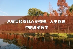 从猫步轻绕到心灵依偎，人生旅途中的温柔哲学
