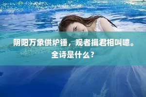 阴阳万象供炉锤，观者揖君相叫噫。全诗是什么？