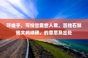 吁嗟乎，可怜甘爱世人欺，岂独石鼓铭文岣嵝碑。的意思及出处