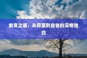 蜕变之惑，从仰望到自省的深情独白