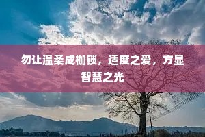 勿让温柔成枷锁，适度之爱，方显智慧之光