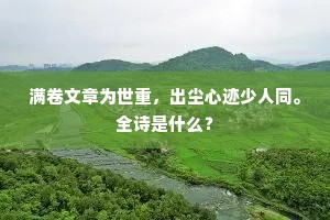 满卷文章为世重，出尘心迹少人同。全诗是什么？