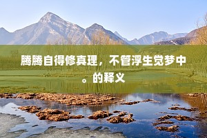 腾腾自得修真理，不管浮生觉梦中。的释义