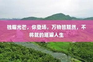 独耀光芒，你登场，万物皆黯然，不将就的璀璨人生