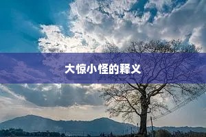 大惊小怪的释义