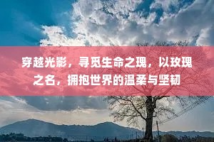 穿越光影，寻觅生命之瑰，以玫瑰之名，拥抱世界的温柔与坚韧