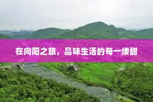 在向阳之旅，品味生活的每一缕甜