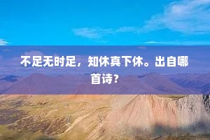 不足无时足，知休真下休。出自哪首诗？