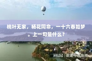 桃叶无家，杨花同命，一十六春如梦。上一句是什么？