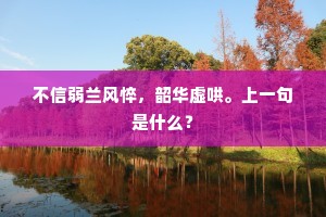 不信弱兰风悴，韶华虚哄。上一句是什么？
