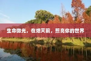 生命微光，在熄灭前，照亮你的世界