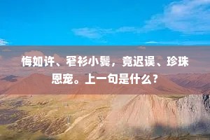 悔如许、窄衫小鬓，竟迟误、珍珠恩宠。上一句是什么？