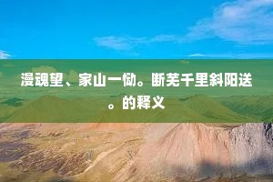 漫魂望、家山一恸。断芜千里斜阳送。的释义