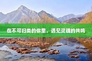 在不可归类的你里，遇见灵魂的共鸣
