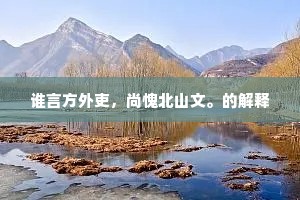 谁言方外吏，尚愧北山文。的解释