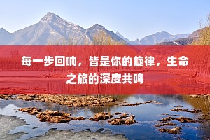 每一步回响，皆是你的旋律，生命之旅的深度共鸣