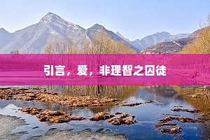 引言，爱，非理智之囚徒