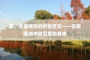 爱，无需掩饰的炽热宣言——在斯通纳中窥见爱的真谛