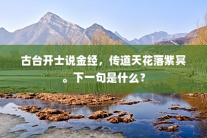 古台开士说金经，传道天花落紫冥。下一句是什么？