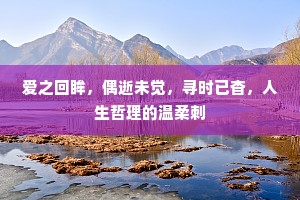 爱之回眸，偶逝未觉，寻时已杳，人生哲理的温柔刺
