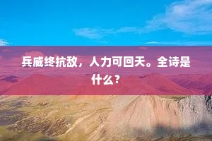兵威终抗敌，人力可回天。全诗是什么？