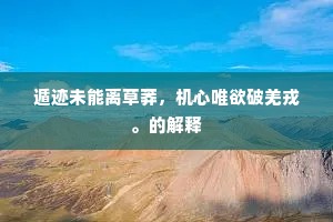 遁迹未能离草莽，机心唯欲破羌戎。的解释