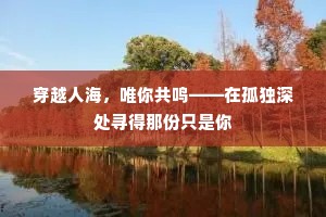 穿越人海，唯你共鸣——在孤独深处寻得那份只是你