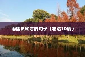 销售员励志的句子（精选10篇）