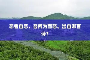 恶者自恶，吾何为而怒。出自哪首诗？