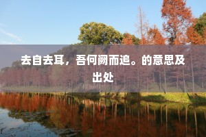 去自去耳，吾何阙而追。的意思及出处