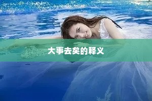 大事去矣的释义