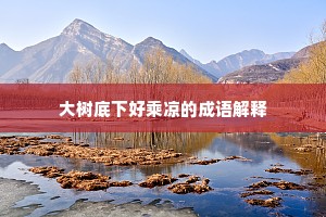 大树底下好乘凉的成语解释