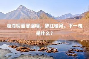 滴滴铜壶寒漏咽，醉红楼月。下一句是什么？