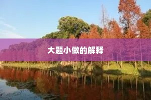 大题小做的解释