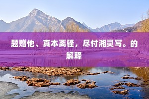 题赠他、真本离骚，尽付湘灵写。的解释