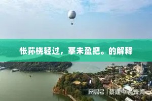 怅荪桡轻过，搴未盈把。的解释