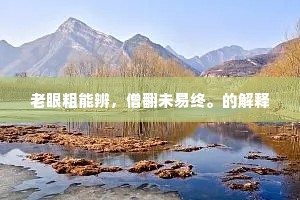 老眼粗能辨，僧翻未易终。的解释