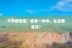 大类群龙藏，收来一钵中。出自哪首诗？